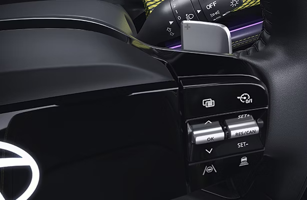 Paddle Shifters
