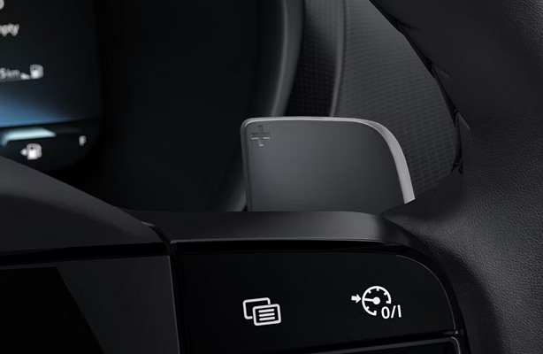 Paddle shifters
