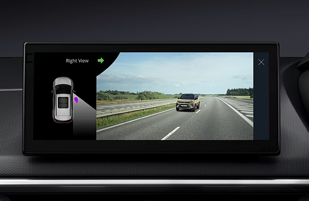 Blind View Monitor