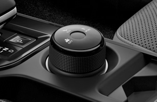 Multi-drive modes